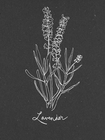 Scent Garden II Black Ornate Wood Framed Art Print with Double Matting by Sizemore, Natalie