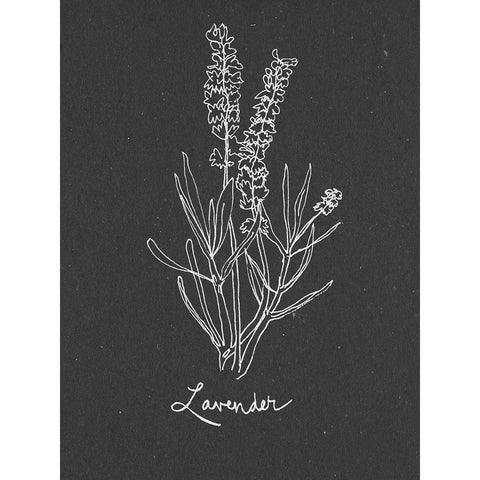 Scent Garden II Black Modern Wood Framed Art Print by Sizemore, Natalie