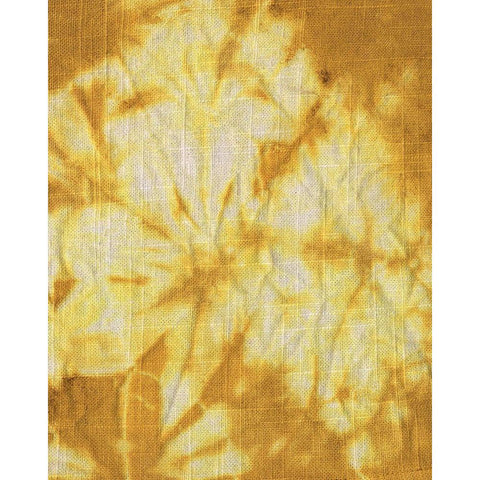 Turmeric Sunrise II Black Modern Wood Framed Art Print with Double Matting by Sizemore, Natalie