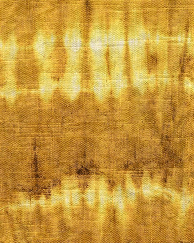 Turmeric Sunrise IV Black Ornate Wood Framed Art Print with Double Matting by Sizemore, Natalie