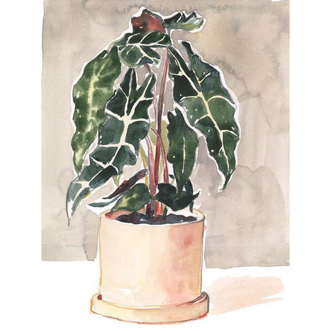 Potted Houseplant I Black Modern Wood Framed Art Print with Double Matting by Parker, Jennifer Paxton