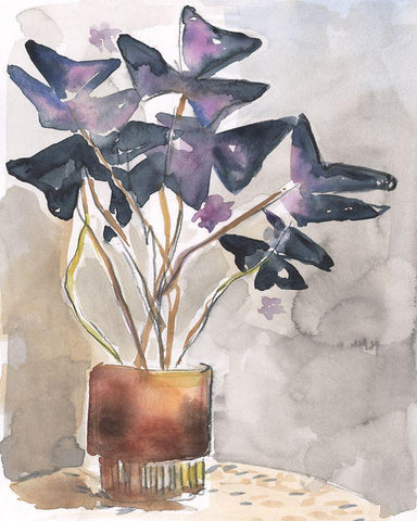 Oxalis in Vase I Black Ornate Wood Framed Art Print with Double Matting by Parker, Jennifer Paxton