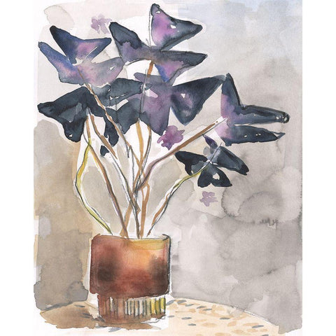 Oxalis in Vase I Black Modern Wood Framed Art Print with Double Matting by Parker, Jennifer Paxton