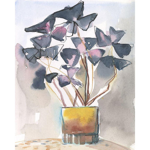 Oxalis in Vase II Black Modern Wood Framed Art Print with Double Matting by Parker, Jennifer Paxton