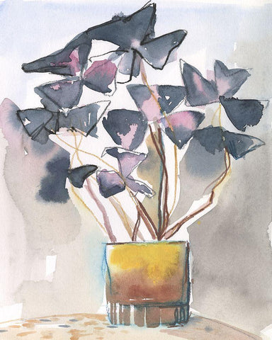 Oxalis in Vase II Black Ornate Wood Framed Art Print with Double Matting by Parker, Jennifer Paxton