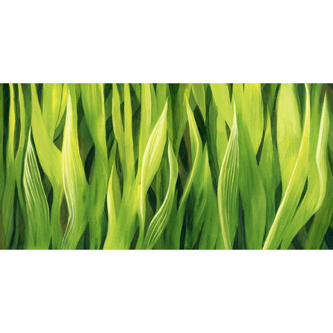 Blades of Grass III Gold Ornate Wood Framed Art Print with Double Matting by Popp, Grace