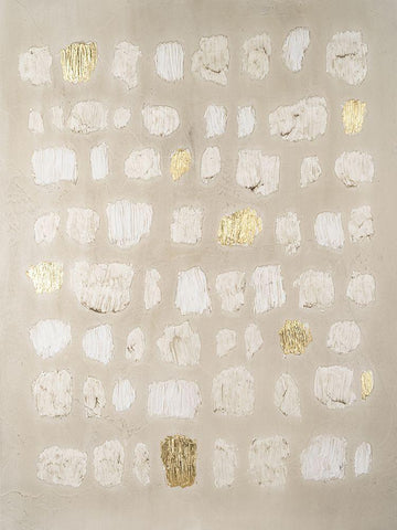 Embellished Cobblestone I White Modern Wood Framed Art Print with Double Matting by Lam, Vanna