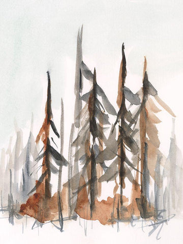 Rustic Evergreens I White Modern Wood Framed Art Print with Double Matting by Harper, Ethan