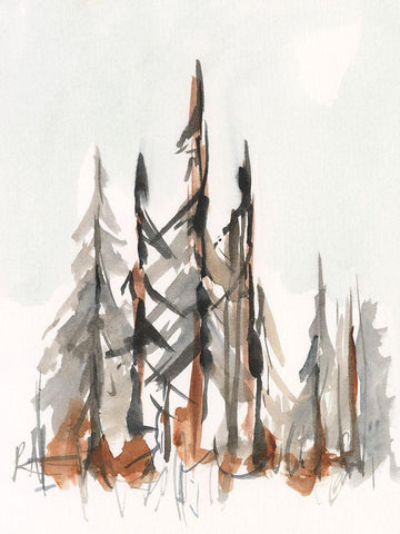 Rustic Evergreens II Black Ornate Wood Framed Art Print with Double Matting by Harper, Ethan