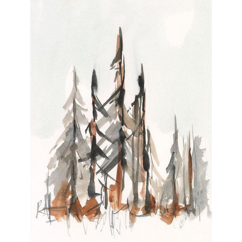 Rustic Evergreens II Black Modern Wood Framed Art Print with Double Matting by Harper, Ethan