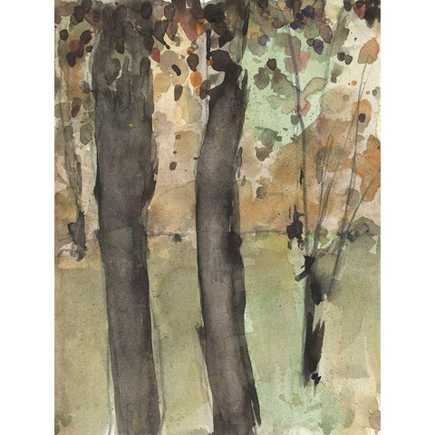 Under the Tree Confetti I Black Modern Wood Framed Art Print with Double Matting by Dixon, Samuel