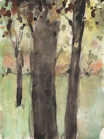 Under the Tree Confetti II Black Ornate Wood Framed Art Print with Double Matting by Dixon, Samuel