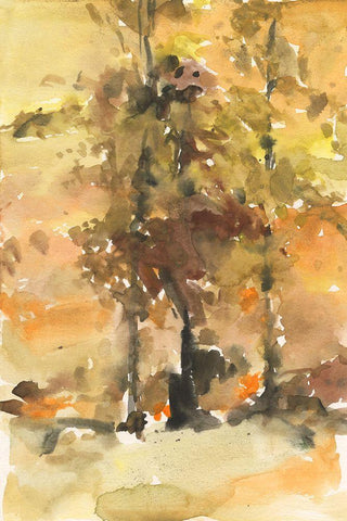Fall Foliage Watercolor I White Modern Wood Framed Art Print with Double Matting by Dixon, Samuel