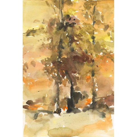 Fall Foliage Watercolor I Black Modern Wood Framed Art Print with Double Matting by Dixon, Samuel