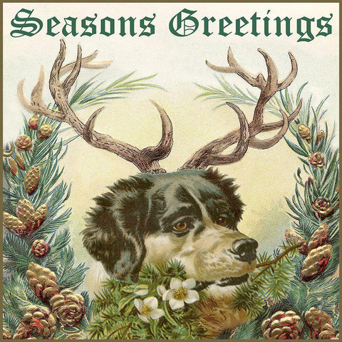 Reindog I Black Ornate Wood Framed Art Print with Double Matting by Longley, Alicia