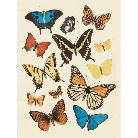 Collected Flutter II Gold Ornate Wood Framed Art Print with Double Matting by Barnes, Victoria