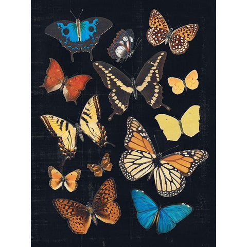 Collected Flutter IV White Modern Wood Framed Art Print by Barnes, Victoria