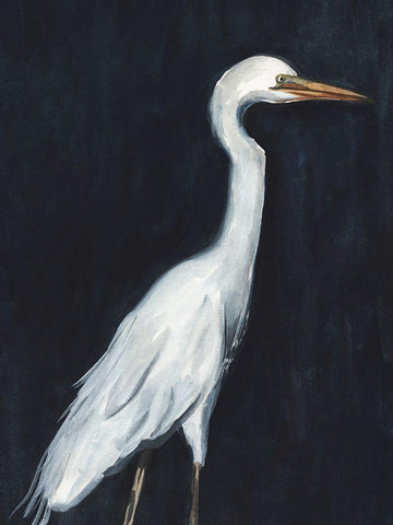 Calm Great Egret II White Modern Wood Framed Art Print with Double Matting by Warren, Annie