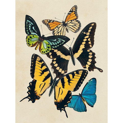 Collaged Butterflies II Gold Ornate Wood Framed Art Print with Double Matting by Barnes, Victoria