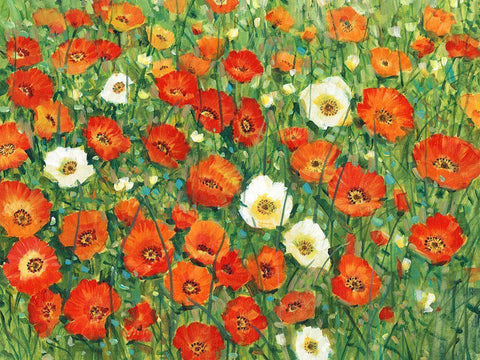 Poppy Meadow II White Modern Wood Framed Art Print with Double Matting by OToole, Tim