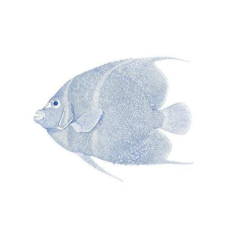 Blue And White Tropical Fish V Gold Ornate Wood Framed Art Print with Double Matting by Vision Studio