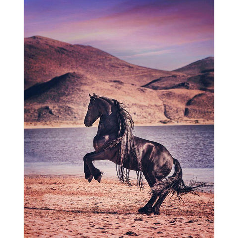 Sunlit Horses II Gold Ornate Wood Framed Art Print with Double Matting by PHBurchett