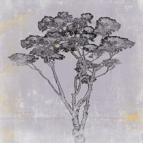 Adajio I Gold Ornate Wood Framed Art Print with Double Matting by Aryai, Sia