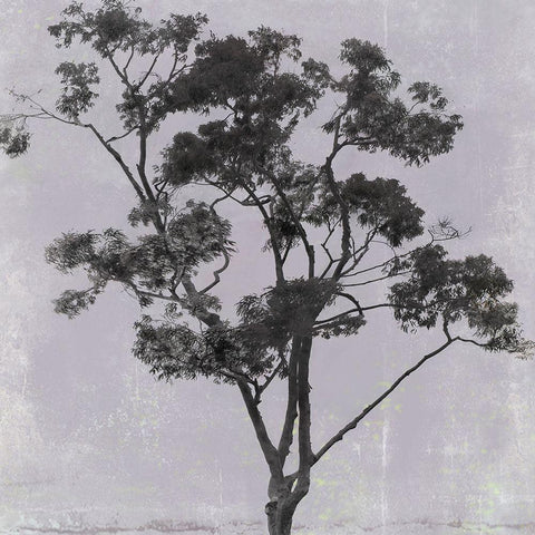 Adajio III Black Modern Wood Framed Art Print by Aryai, Sia