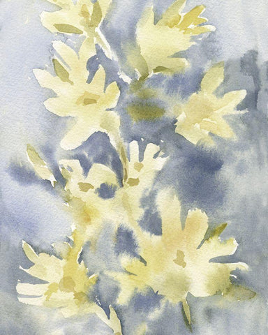Forsythia Blooms I White Modern Wood Framed Art Print with Double Matting by Caroline, Emma