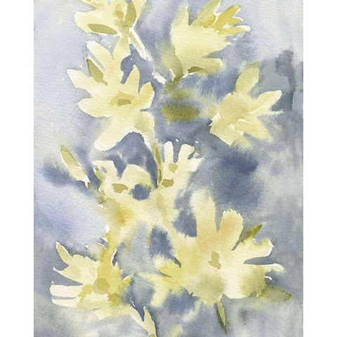 Forsythia Blooms I White Modern Wood Framed Art Print by Caroline, Emma