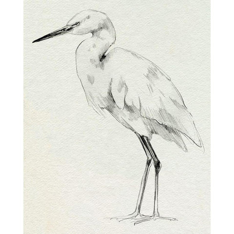 Erect Egret II White Modern Wood Framed Art Print by Caroline, Emma