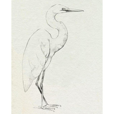Erect Egret III Black Modern Wood Framed Art Print by Caroline, Emma