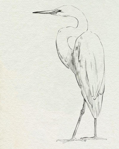 Erect Egret IV Black Ornate Wood Framed Art Print with Double Matting by Caroline, Emma