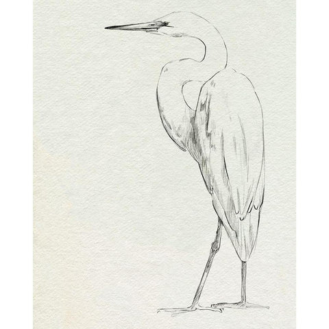 Erect Egret IV Gold Ornate Wood Framed Art Print with Double Matting by Caroline, Emma