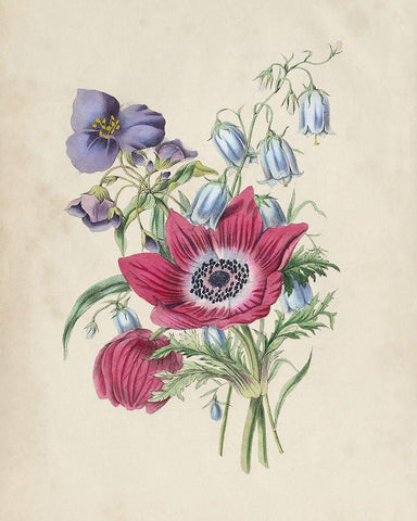 Antique Garden Bouquet I White Modern Wood Framed Art Print with Double Matting by Vision Studio