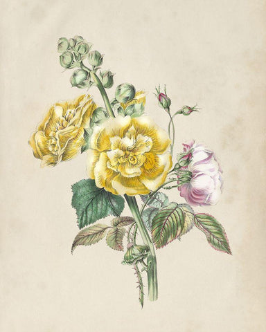 Antique Garden Bouquet II Black Ornate Wood Framed Art Print with Double Matting by Vision Studio