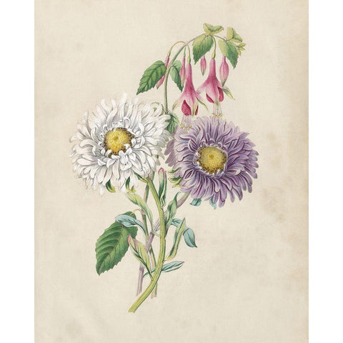 Antique Garden Bouquet III White Modern Wood Framed Art Print by Vision Studio