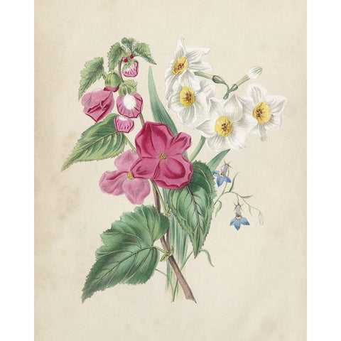 Antique Garden Bouquet IV Black Modern Wood Framed Art Print by Vision Studio