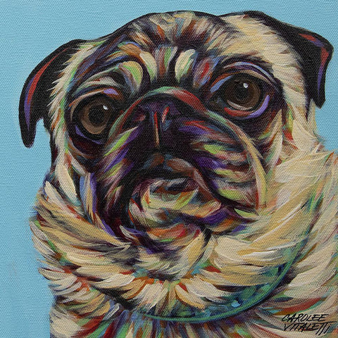 Blue Pug White Modern Wood Framed Art Print by Vitaletti, Carolee