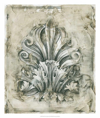 Printed Decorative Ornament I Black Ornate Wood Framed Art Print with Double Matting by Harper, Ethan