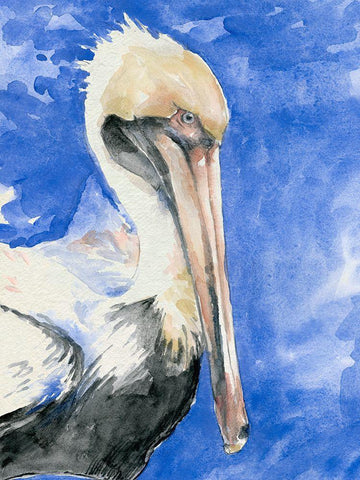 Pelican Pool I White Modern Wood Framed Art Print with Double Matting by Parker, Jennifer Paxton