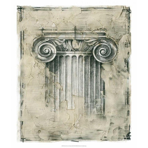 Printed Decorative Ornament III Black Modern Wood Framed Art Print with Double Matting by Harper, Ethan