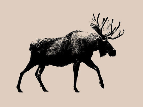 Wild Ambler I White Modern Wood Framed Art Print with Double Matting by Green, Jacob