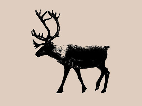 Wild Ambler II White Modern Wood Framed Art Print with Double Matting by Green, Jacob