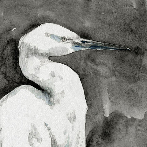 Solemn Egret I Black Ornate Wood Framed Art Print with Double Matting by Caroline, Emma