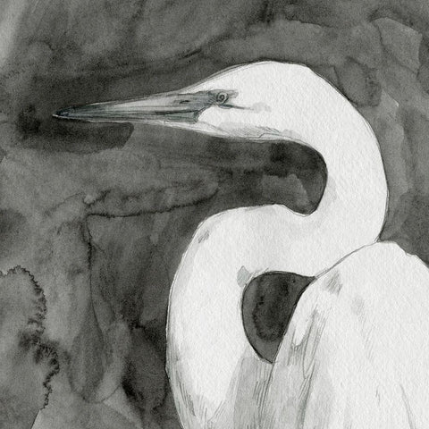 Solemn Egret IV Black Ornate Wood Framed Art Print with Double Matting by Caroline, Emma