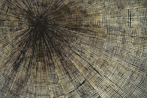 Enmeshed Black Ornate Wood Framed Art Print with Double Matting by Taylor, Kari