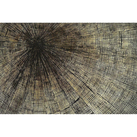 Enmeshed Black Modern Wood Framed Art Print with Double Matting by Taylor, Kari