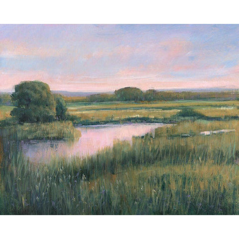 Spring Marsh I White Modern Wood Framed Art Print by OToole, Tim