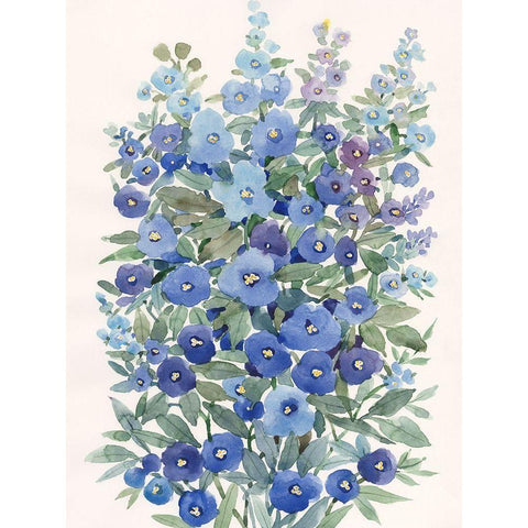 A Patch of Wildflowers II Black Modern Wood Framed Art Print with Double Matting by Nichols, Tim